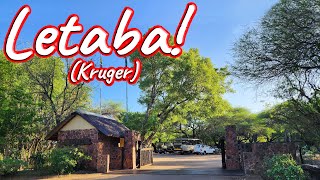 S1 – Ep 430 – Letaba Rest Camp [upl. by Neeuq]