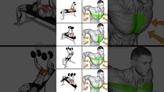 Build a Powerful Chest Best Dumbbell Chest Workouts for Massive Gains [upl. by Moulton171]