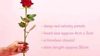 Moonpig How to pick the best red roses [upl. by Stephens]