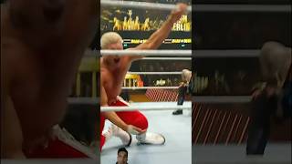 When rhodes wwe wrestling bashinberlin fyp shorts [upl. by Iy]