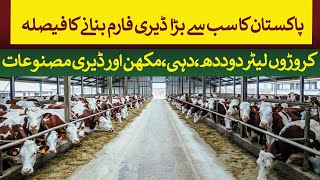 Pakistans Largest Dairy farm will produce million of liters Milk Butter and Yogurt  Rich Pakistan [upl. by Philipp]