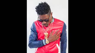 Shatta Wale  Freedom Audio Slide [upl. by Ellennad]