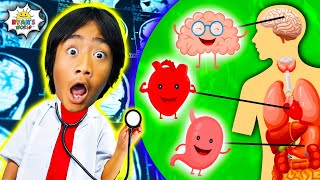 Learn about Human Body Parts for Kids  Ryans World Educational Video [upl. by Irem875]