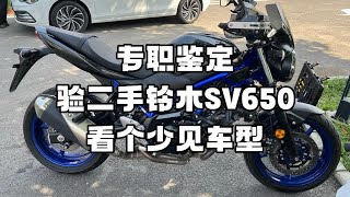 专职鉴定 验二手铃木sv650 看个少见车型 [upl. by Solhcin]