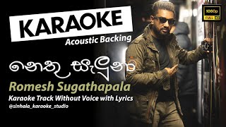 Nethu Saluna  නෙතු සැලුනා  Sinhala Karaoke  Without Voice  Romesh Sugathapala [upl. by Alida262]