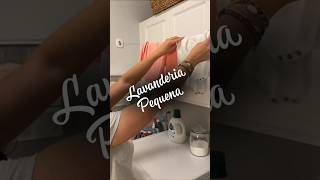 Lavanderia pequena shopee shopeecompras lavanderia achadinhos ofertas [upl. by Yrro]