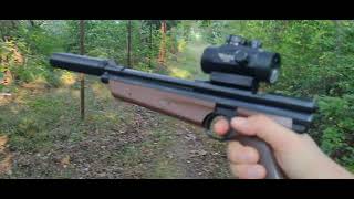 Crosman 1377 moded  1 hand plinking strzelanie z 1 ręki [upl. by Ennovy]