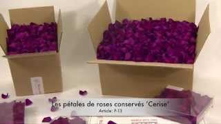 Pétales de roses conservés Cerise [upl. by Trevethick]