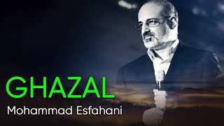 Mohammad Esfahani  Ghazal محمد اصفهانی  غزل [upl. by Gaylor]