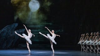 Insights The Royal Ballet in Rehearsal  Swan Lake [upl. by Aneet70]