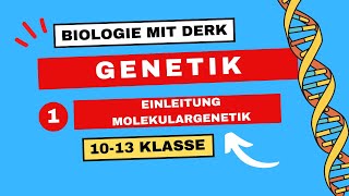 Genetik  1  Einleitung Molekulargenetik Grundbegriffe  10  13 Klasse [upl. by Subir849]