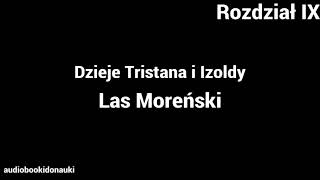 Dzieje Tristana i Izoldy  9  Las Moreński [upl. by Barvick756]