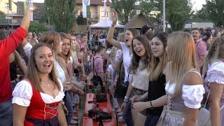 Die Partyfürsten  AltmainWeinfest Sand am Main 2018 [upl. by Eannej]