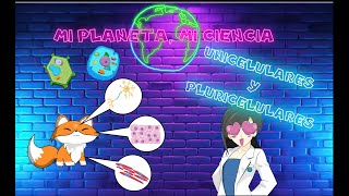 😻El mejor video de ORGANISMOS 🦠UNICELULARES🦠 Y 🐙PLURICELULARES🐸 LA CÉLULA 🗺🌎🌏 [upl. by Ulu510]