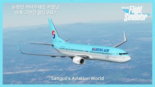 플라이트시뮬레이터2020VATSIM 인천RKSI간사이RJBB 대한항공 B737900ER 네 사장님 여기 논윙릿 주세요 네 그런거 안판다구요 평점 10 [upl. by Katsuyama]