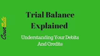 Trial Balance Explained  Understanding Your Debits And Credits [upl. by Ainival]