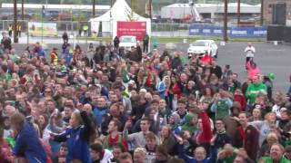 Northern Ireland fans Sing Sweet Caroline EURO 2016 [upl. by Nednerb]