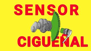 COMO FUNCIONA EL SENSOR DEL CIGUEÑAL [upl. by Idorb666]