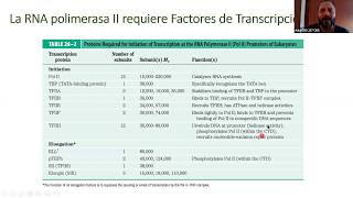 Transcripcion eucariontes [upl. by Shirley603]