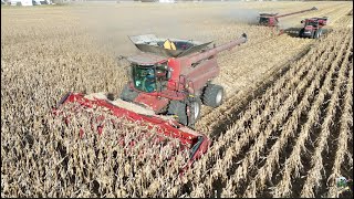 Corn Harvest 2024 with Dick Lavy Farms [upl. by Risan897]