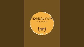 Riendeau Farm amp Oxen Crafts is live [upl. by Acirrehs]