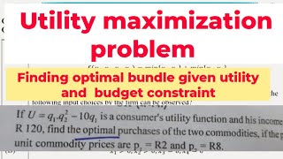 utility maximization problem finding optimal Consumption bundle given utility function and budget [upl. by Noiraa70]