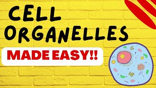 Cell Biology Cell Organelles explained in 5 minutes [upl. by Cissej]