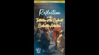 Reflection 10  Luminous MysteriesInstitution of the Eucharist [upl. by Cornew359]