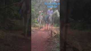 Horse riding matheran travel trending ytshorts nature horseriding adventure [upl. by Vardon]