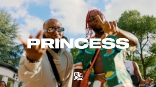 FREE NSG x Swarmz x Afroswing Type Beat  “Princess“  UK Afroswing Instrumental 2024 [upl. by Ardnazxela]