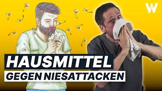 Stop deine Allergie Diese Hausmittel helfen mir Weniger Niesen Kratzen Jucken [upl. by Rocky]