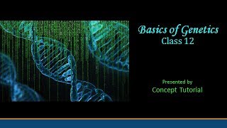 Basics of Genetics  Principles of Inheritance Part 1  Biology Class 12 [upl. by Olrak57]