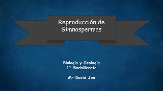 Reproduccion gimnospermas [upl. by Adiol242]