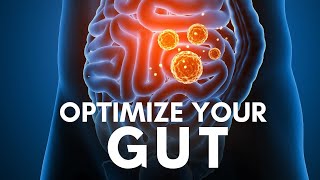 Improve Gut Microbiome Health  Gut Microbiome Diet  What is the gut microbiome [upl. by Aver342]