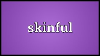 Skinful Meaning [upl. by Comfort306]