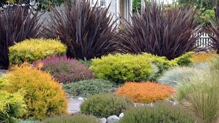 Ornamental grasses Design For Your Garden [upl. by Asertal500]