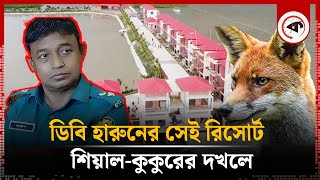 ডিবি হারুনের সেই রিসোর্টে এখন শিয়ালকুকুরের রাজত্ব  Harun Or Rashid  President Resort  Kalbela [upl. by Joelly]