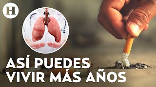 ¿Cómo se ven los pulmones de un fumador Fumar reduce 10 años la esperanza de vida [upl. by Pylle]