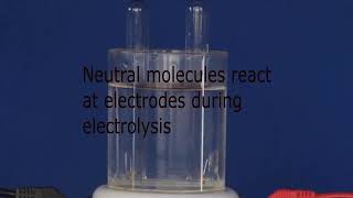 Leaving Cert Chemistry  Electrolysis of Sodium Sulfate [upl. by Eelirol727]