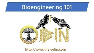 Bioengineering 101  Class 1 [upl. by Oralie876]