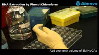 DNA Extraction by Phenol Chloroform [upl. by Buckley]