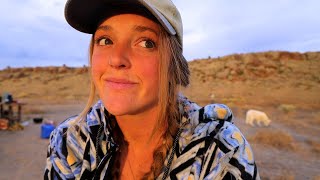 Life Off The Grid  VanLife meets Homesteading [upl. by Rhianna]