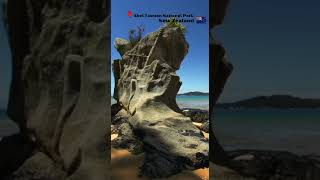 Abel Tasman National Parkshorts newzealand travel explore destination adventure park [upl. by Ecirrehs]