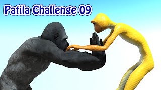 Patila Challenge Part 09  Patila vs Gorilla Fight With Fun [upl. by Lahsram629]