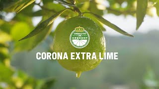 Corona  Corona Extra Lime case study [upl. by Vilma675]