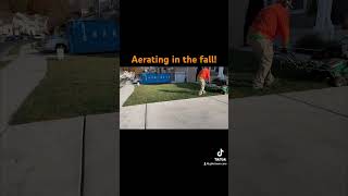 Aerating in the fall lawn lawncare landscape smallbusiness hardwork work [upl. by Nylirehc]