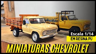 Miniaturas chevrolet D10 e D60  Truckmodelismo  Encomendas 22997432699 [upl. by Eeldarb]