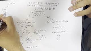 NSAID Mechanisms and Side effects in Arabic [upl. by Rowe]