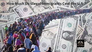 How Much Do Illegal Immigrants Cost the US [upl. by Olegnaed645]