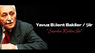 Yavuz Bülent Bakiler  Şaşırdım Kaldım İşte [upl. by Venator444]